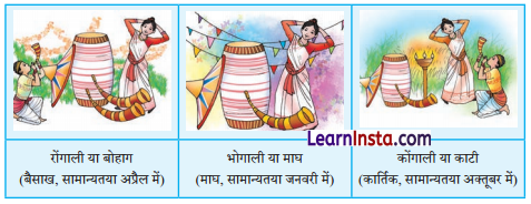NCERT Class 6 Hindi Malhar Chapter 8 Question Answer सत्रिया और बिहू नृत्य 3