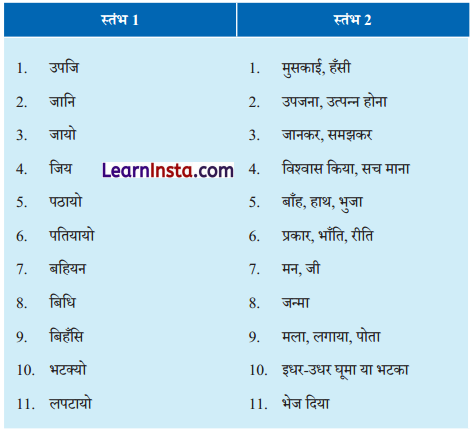 NCERT Class 6 Hindi Malhar Chapter 9 Question Answer मैया मैं नहिं माखन खायो 3