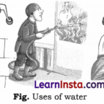 Nature’s Treasures Class 6 Notes Science Chapter 11 1