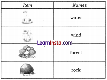 Nature’s Treasures Class 6 Question Answer Science Chapter 11 2