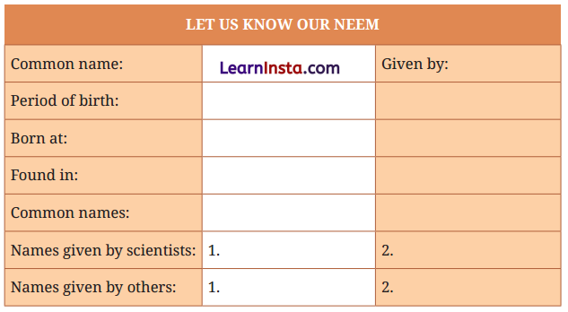 Neem Baba Class 6 Question Answer NCERT Solutions 3