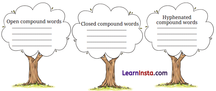 Neem Baba Class 6 Question Answer NCERT Solutions 4