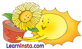 Night Class 3 Question Answer NCERT Solutions Class 3 English Chapter 10 4