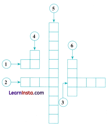 Number Play Class 6 MCQ Maths Chapter 3 Q7