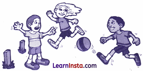 Out in the Garden Class 3 Worksheet English Chapter 4 1