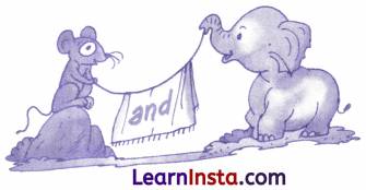 Out in the Garden Class 3 Worksheet English Chapter 4 7