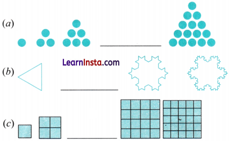 Patterns in Mathematics Class 6 MCQ Maths Chapter 1 3