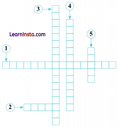 Patterns in Mathematics Class 6 MCQ Maths Chapter 1 5