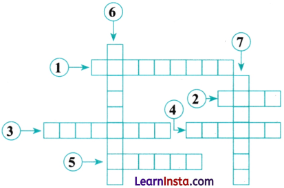 Perimeter and Area Class 6 MCQ Maths Chapter 6 Q10