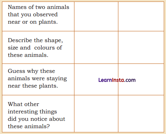 Plants and Animals Live Together Class 3 EVS Question Answer 5