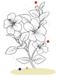 Plants and Animals Live Together Class 3 EVS Question Answer 7