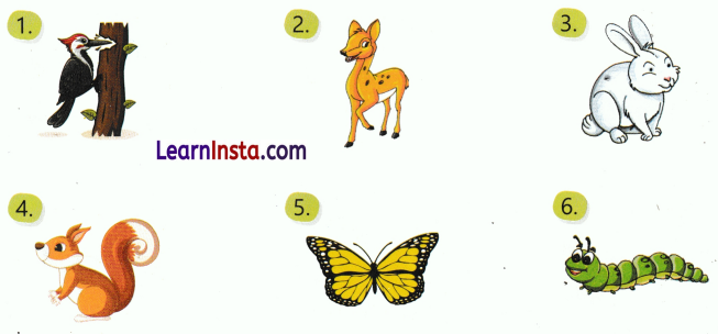 Plants and Animals Live Together Class 3 Worksheet EVS Chapter 5 2