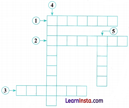 Prime Time Class 6 MCQ Maths Chapter 5 Q10