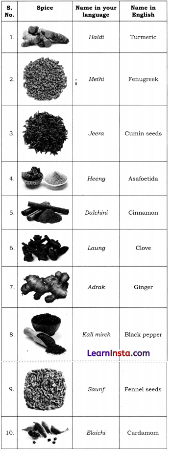Spices That Heal Us Class 6 Question Answer NCERT Solutions 2