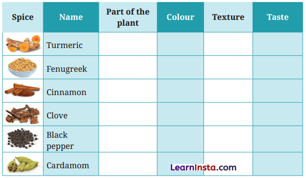 Spices That Heal Us Class 6 Question Answer NCERT Solutions 3