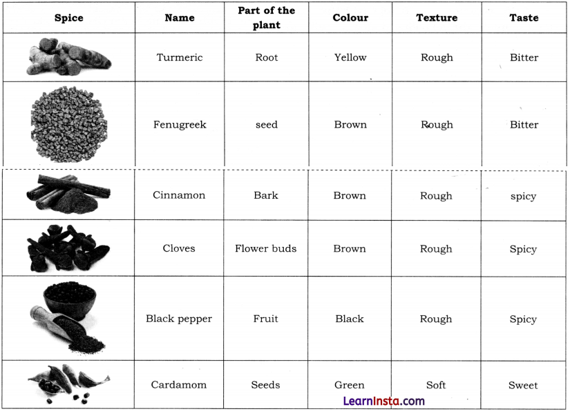 Spices That Heal Us Class 6 Question Answer NCERT Solutions 4