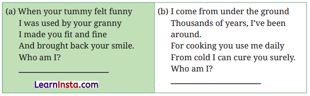 Spices That Heal Us Class 6 Question Answer NCERT Solutions 8