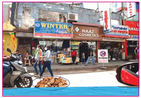 Taking Charge of Waste Class 3 EVS Question Answer 2