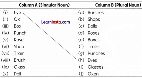 Talking Toys Class 3 Worksheet English Chapter 5 5