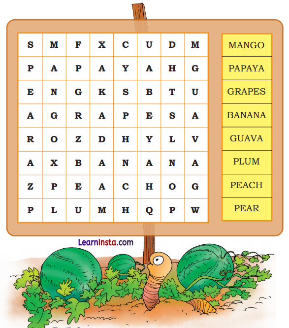 Thank God Class 3 Question Answer NCERT Solutions Class 3 English Chapter 8 16