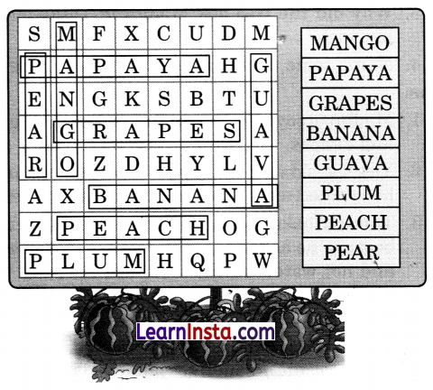 Thank God Class 3 Question Answer NCERT Solutions Class 3 English Chapter 8 17