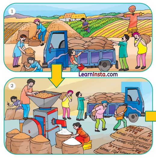 The Big Laddoo Class 3 Question Answer NCERT Solutions Class 3 English Chapter 7 1