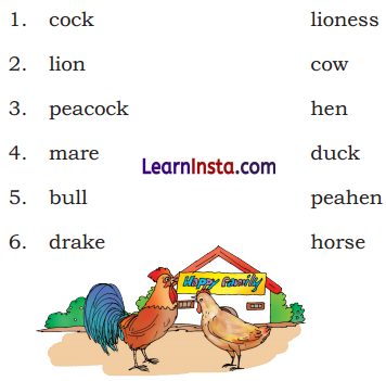 The Big Laddoo Class 3 Question Answer NCERT Solutions Class 3 English Chapter 7 7