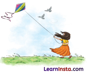 The Kites Class 6 Question Answer NCERT Solutions 1