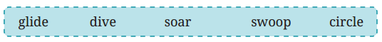 The Kites Class 6 Question Answer NCERT Solutions 9