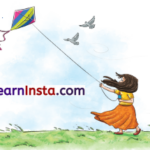 The Kites Class 6 Summary in English 1