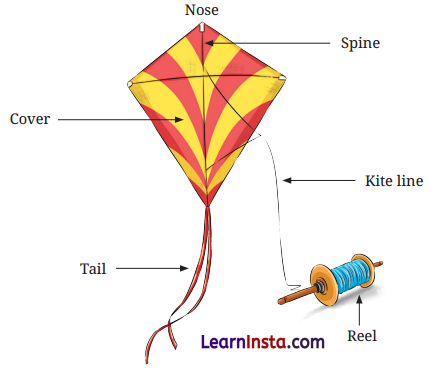 The Kites Class 6 Summary in English 3