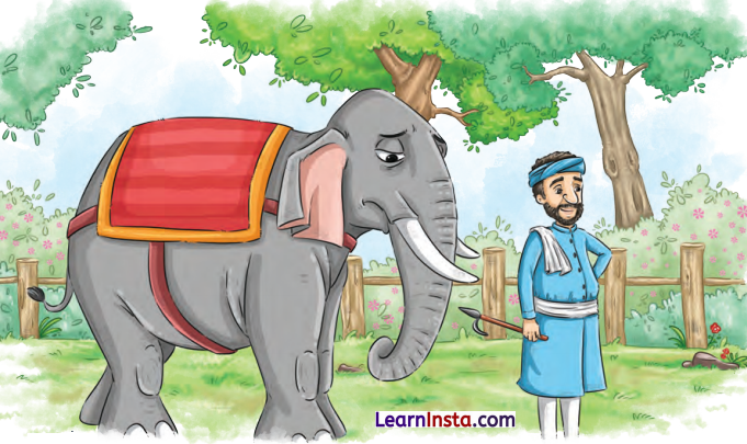 The Unlikely Best Friends Class 6 Summary in English 6