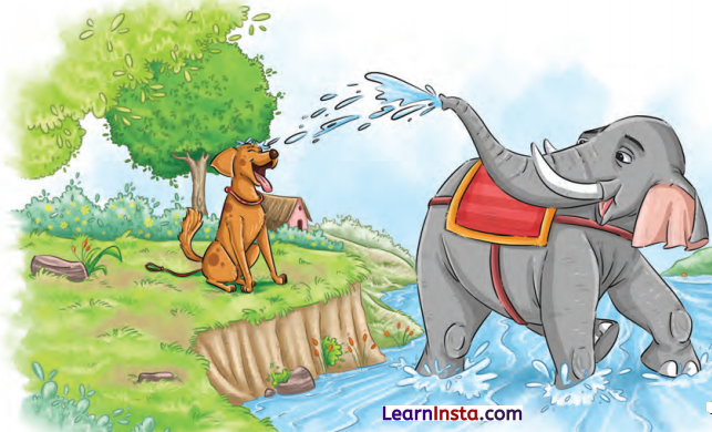 The Unlikely Best Friends Class 6 Summary in English 7