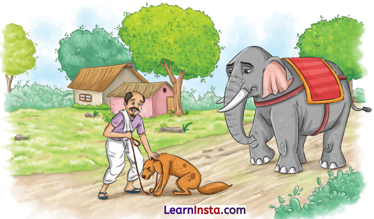 The Unlikely Best Friends Class 6 Summary in English 8