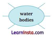 The Winner Class 6 Question Answer NCERT Solutions 4