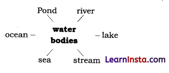 The Winner Class 6 Question Answer NCERT Solutions 5