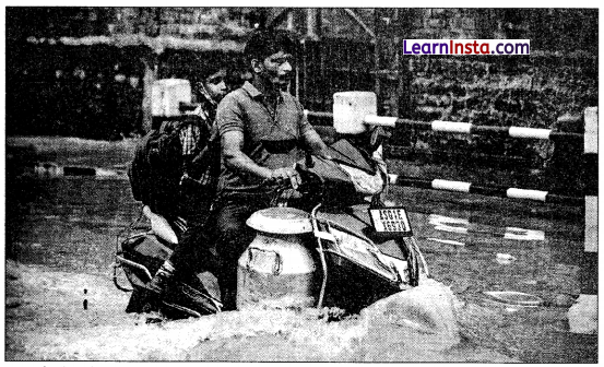 Total English Class 10 Chapter 2 Test Paper 1 Answers Solutions 1