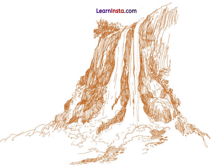 Water A Precious Gift Class 3 EVS Question Answer 8