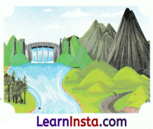 Water A Precious Gift Class 3 Worksheet EVS Chapter 7 10