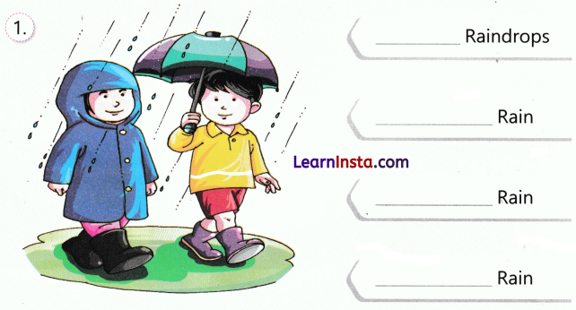 Water A Precious Gift Class 3 Worksheet EVS Chapter 7 3