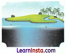 Water A Precious Gift Class 3 Worksheet EVS Chapter 7 7