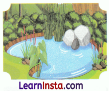Water A Precious Gift Class 3 Worksheet EVS Chapter 7 9