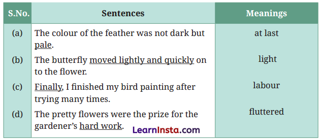 What a Bird Thought Class 6 Question Answer NCERT Solutions 2