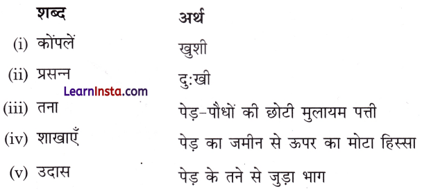 आम का पेड़ Class 3 Worksheet Hindi Chapter 5 1