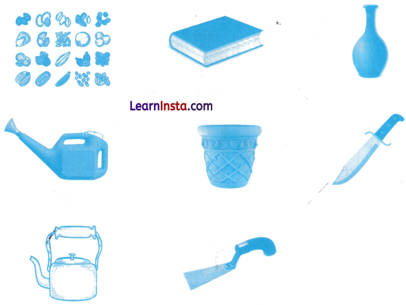 आम का पेड़ Class 3 Worksheet Hindi Chapter 5 2