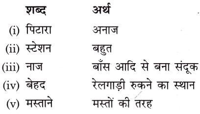 एक जादुई पिटारा Class 3 Worksheet Hindi Chapter 11 1