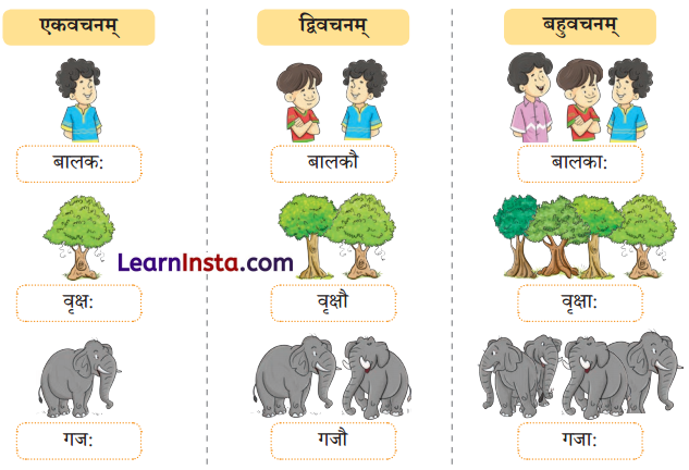 एषः कः एषा का एतत् किम् Class 6 Summary Notes Sanskrit Chapter 2 1