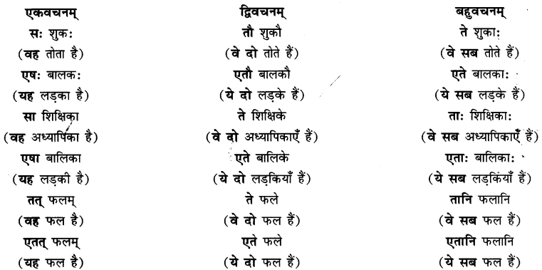 एषः कः एषा का एतत् किम् Class 6 Summary Notes Sanskrit Chapter 2 10