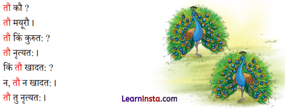 एषः कः एषा का एतत् किम् Class 6 Summary Notes Sanskrit Chapter 2 13