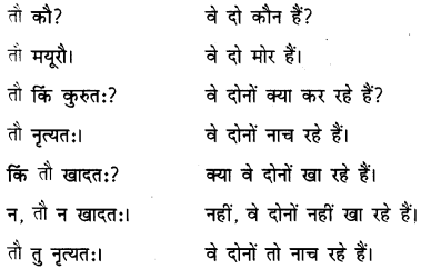 एषः कः एषा का एतत् किम् Class 6 Summary Notes Sanskrit Chapter 2 14